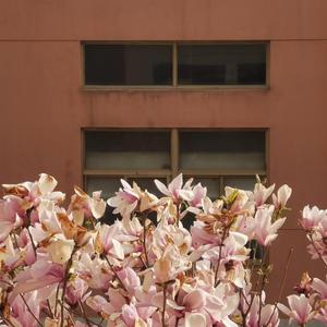 往后余生