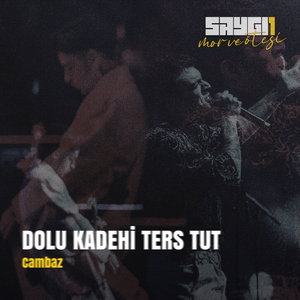 Cambaz (Saygi1)