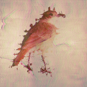 Sanguchitos de Maní