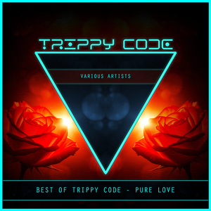 At Your Feet (Adonis FR Radio Remix)