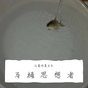 马桶思想者