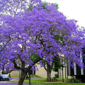 订了一份晚安送给总晚睡的你