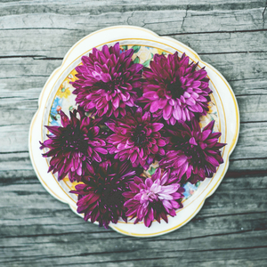 Softness Red (Zen Ambient Meditation)