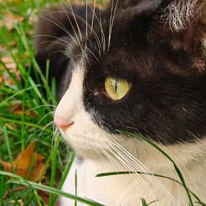 "寄托" AFRO TRAP TYPE BEAT