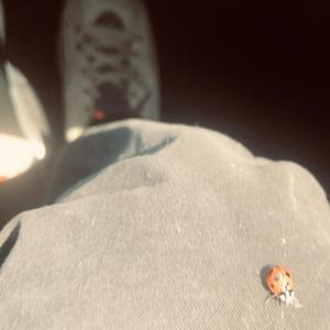 001.宝贝不要离开