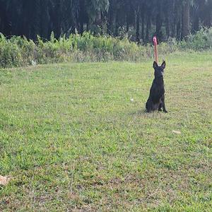 Pujuk Aku, Peluk Aku..