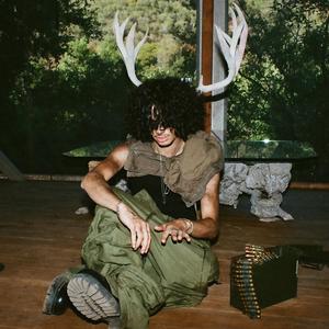 a lantern to a montague