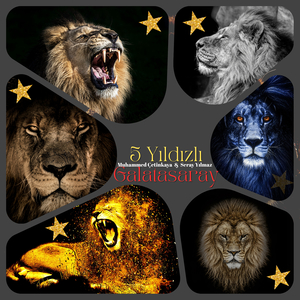 5 Yıldızlı Galatasaray