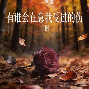 有谁会在意我受过的伤