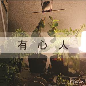 有心人 (吉他演奏版)