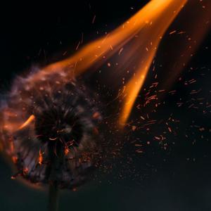 【Free】遍地残冬