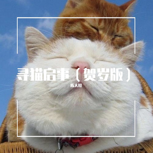 寻猫启事(贺岁版)