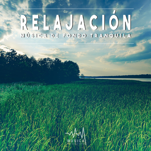 Musica de Bienestar, Pt. 07