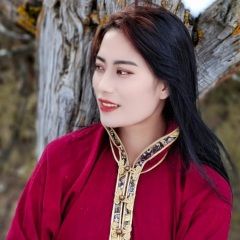 好运伴随旭日来