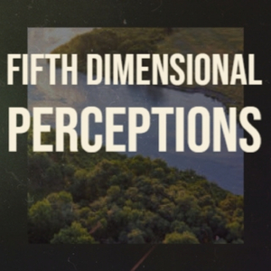 Fifth Dimensional Perceptions