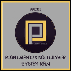 System Raw (Zetbee Remix)