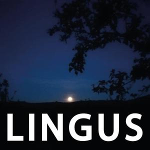 Lingus