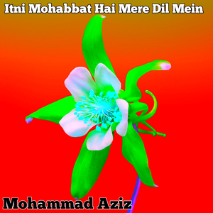 Itni Mohabbat Hai Mere Dil Mein