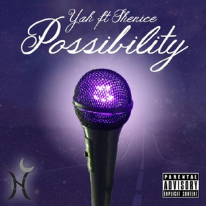 Possibility (feat. Shenice)