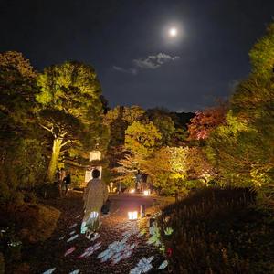 あなたに逢いたい(World Peace Song)