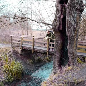 Insomia (Act I and II)