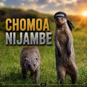 CHOMOA NIJAMBE