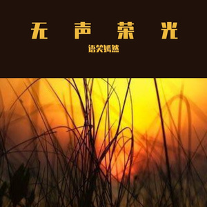 决明子 (2)