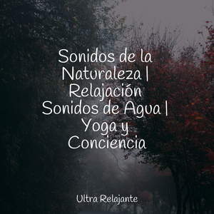 Sentirse Vivo