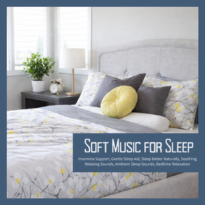 癒しの音色が心地いい高音質睡眠導入BGM 安眠・癒しリラックスのα波音楽