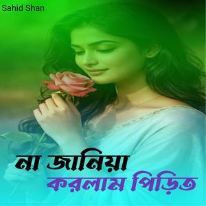 না জানিয়া করলাম পিড়িত