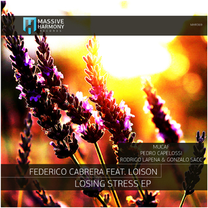 Losing Stress (Pedro Capelossi Deep Interpretation Mix)