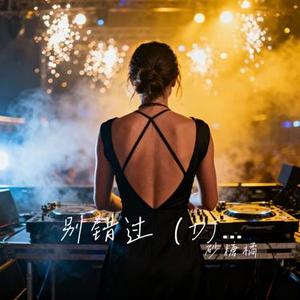 别错过 (DJ版)