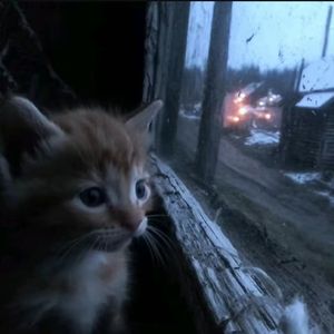 “孤僻” SASIOVERLXRD&BOBBYNOPEACE Type Beat