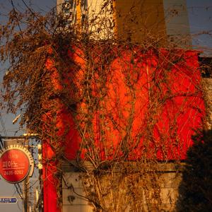 Magical Venice Stroll