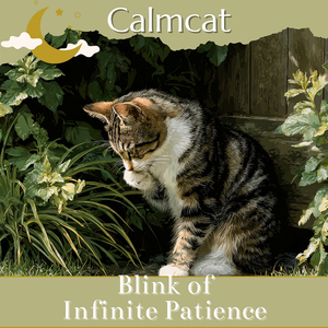 Blink of Infinite Patience