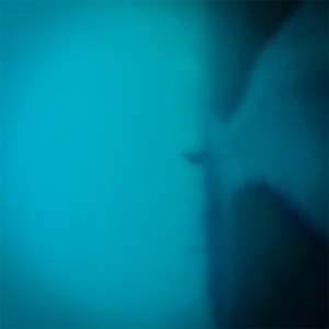 wander in the forest