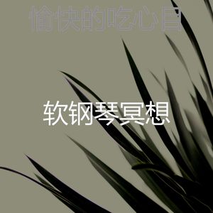 有趣正在学习愿景