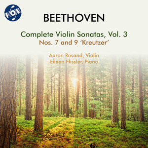 Violin Sonata No. 7 in C Minor, Op. 30, No. 2:I. Allegro con brio