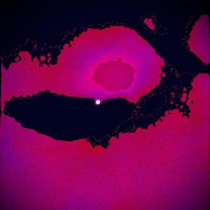 获D调唱惨，绝对火