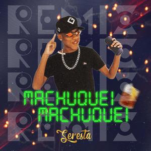 ARROCHA (MACHUQUEI MACHUQUEI) (feat. Mc Guizinho Niazi)