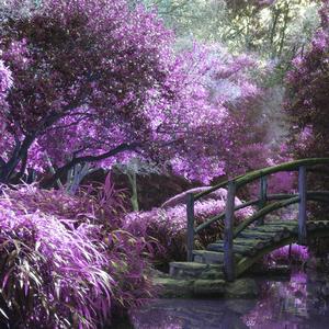 Camaraderie (Instrumental)