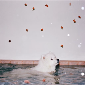 【Free】“焦虑逆流成河”周杰伦 X 刘思鉴 Guiar Type beat