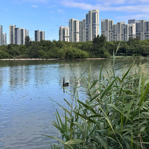 海边的孤独爱情