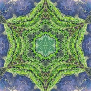 Offering to the Earth