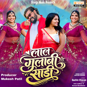 Lal Gulabi Sadi