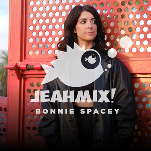 Naughty Pleasure (CARLEO Remix)