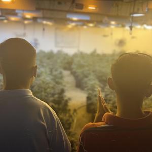 LOS VAGOS CON LOS VAGOS (feat. Perfil Bajo)