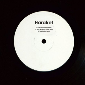 Taint (Cottam Remix)