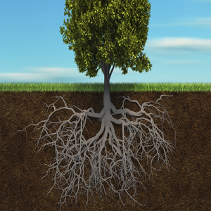 Freezone (Original Mix)