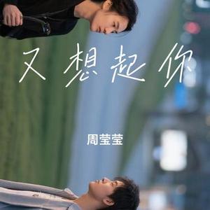 又想起你